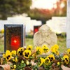 Kodustaar Besimeldžiančio angelo skulptūra