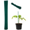 Kodustaar 50 augalų atraminių lazdelių rinkinys 30 cm