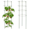 Kodustaar 2 apvalių žalių treliažų rinkinys, 91 cm