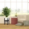 Relaxdays Reguliuojamas bambukinis augalų stovas