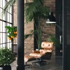Relaxdays Reguliuojamas bambukinis augalų stovas
