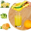 Kodustaar Rankinė citrusinių vaisių sulčiaspaudė 2 in 1