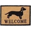 Kodustaar sveiki atvykę takso (wiener dog) durų kilimėlis