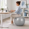 Relaxdays Gimnastikos kamuolys su pompa, PVC