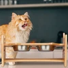 Relaxdays Reguliuojamo aukščio augintinių šėrimo stotelė