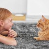 Kodustaar Šėrimo stotelė su keraminiais dubenėliais