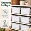 Relaxdays Kalėdinių žaisliukų dėžė su dangčiu, polipropilenas