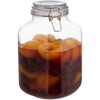 Relaxdays Konservavimo stiklainis 3 L