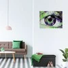 Relaxdays Laikymo suoliukas, sulankstomas, 37,5x76,5x38,5 cm