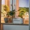 Relaxdays Laistymo burbulai, 30x9 cm, Stiklas