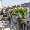 Kodustaar 2 stiklinių laistymo burbulų rinkinys