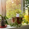 Kodustaar 4 molinių kūginių laistymo antgalių rinkinys „Bunny“