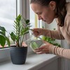 Kodustaar 6 molinių kūgių rinkinys