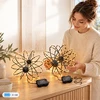 Relaxdays LED šviečiantys rutuliai su 120 LED, 2 vnt. komplekte, IP44, su baterijomis