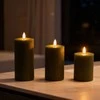 Relaxdays LED žvakių rinkinys, 3 dalys, tamsiai žalia, natūralus vaškas