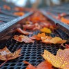 Kodustaar Lietvamzdžio latako lapų apsauga 6 m