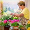 Kodustaar Laisvai pastatomas dekoratyvinis paukščių namelis