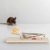 Relaxdays Pelės spąstai, 2x4.5x10 cm, ruda