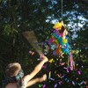 Kodustaar Asilo piñata