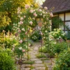 Relaxdays Rose Arch 208x210x50 cm Juodas metalas