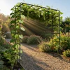 Relaxdays Rose Arch 220x200x38 cm Juodas metalas