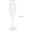 Kodustaar 6 plastikinių šampano taurių rinkinys 160 ml