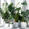 Relaxdays Savaime laistantys smaigai, 13x5x4.5 cm, terakota, keramika