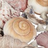 Kodustaar Jūros ir sraigių kriauklių mišinys 1kg