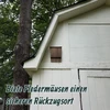 Relaxdays Ruda šikšnosparnių dėžutė, rinkinys 4 vnt.