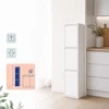 Relaxdays Atliekų šiukšliadėžė su 3 skyriais 3x18 l