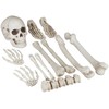 Kodustaar Helovino dekoracija – skeletas