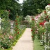Relaxdays Sodo arka, metalas, 213x106x41 cm, juoda