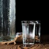 Kodustaar 12 vnt. 2 cl taurelių šotams rinkinys