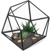 Kodustaar Geometrinis stiklinis terariumas