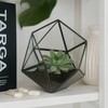 Kodustaar Geometrinis stiklinis terariumas