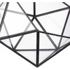 Kodustaar Geometrinis stiklinis terariumas