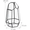 Relaxdays Geometrinis stiklinis terariumas 25 cm