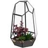 Relaxdays Geometrinis stiklinis terariumas 25 cm