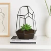 Relaxdays Geometrinis stiklinis terariumas 25 cm