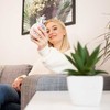 Kodustaar Sidabrinė ananaso formos taupyklė
