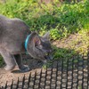 Kodustaar 12 tinklinių spyglių kilimėlių rinkinys