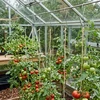 Relaxdays Tomato kabliukų rinkinys 25x5x1 cm Sidabro Natūralus plienas Džiutas
