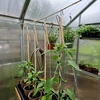 Relaxdays Tomato kabliukų rinkinys 25x5x1 cm Sidabro Natūralus plienas Džiutas