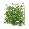 Relaxdays Trellis 182x183x43 cm žalia metalinė