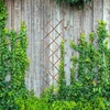 Relaxdays Trellis komplektas 180x60x1 cm Medis