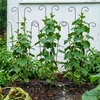 Relaxdays Trellis komplektas, metalinis, vintage stilius