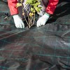 Kodustaar 100 plastikinių tvirtinimo kuoliukų rinkinys