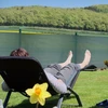 Relaxdays Žalia tvoros tinklelis 2m