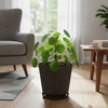 Relaxdays Vazonai su padėklais, 2 vnt. rinkinys