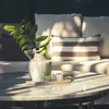 Relaxdays Dzeno sodo žvakidės rinkinys